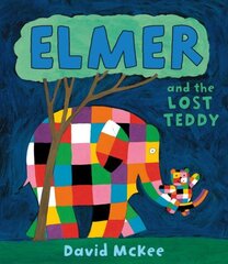 Elmer and the Lost Teddy: Board Book цена и информация | Книги для малышей | kaup24.ee