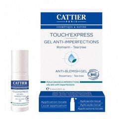 Aknevastane näokreem Cattier Touch'Express Anti-Blemish Gel Organic, 5ml цена и информация | Кремы для лица | kaup24.ee