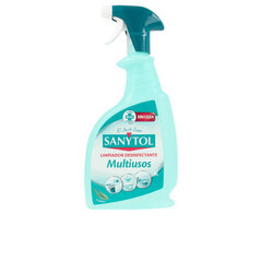Очиститель жира Sanytol Sanytol, 750 мл цена и информация | Очистители | kaup24.ee