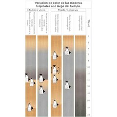 Протектор древесина акации 750 ml цена и информация | Чистящие средства | kaup24.ee