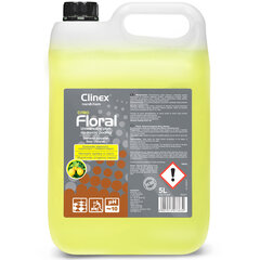 Clinex puhastusvahend, 5L hind ja info | Puhastusvahendid | kaup24.ee