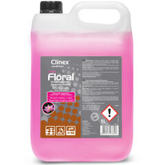 Clinex puhastusvahend, 5L hind ja info | Puhastusvahendid | kaup24.ee