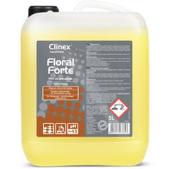 Clinex puhastuskontsentraat, 5L hind ja info | Puhastusvahendid | kaup24.ee