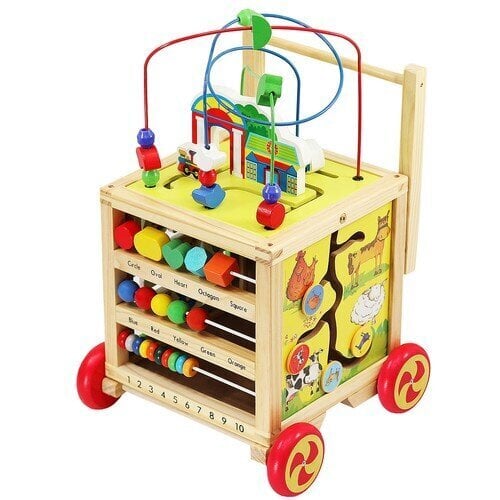 Hariduslike kuubikute labürint Kruzzel hind ja info | Imikute mänguasjad | kaup24.ee