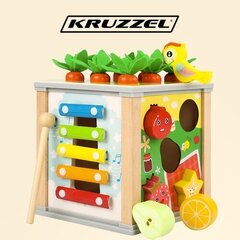 Arendav kuubik Kruzzel hind ja info | Imikute mänguasjad | kaup24.ee