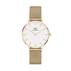 Daniel Wellington Petite 32 Evergold naiste käekell цена и информация | Женские часы | kaup24.ee