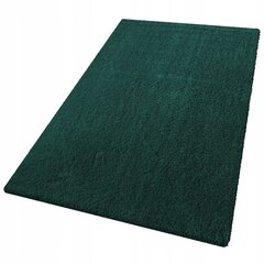 Vaip Home-carpets Shaggy 120 x 170 cm цена и информация | Ковры | kaup24.ee