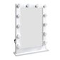 Peegel LED valgustus, 2 tk цена и информация | Süvistatavad ja LED valgustid | kaup24.ee