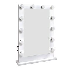 Peegel LED valgustus, 8 tk цена и информация | Монтируемые светильники, светодиодные панели | kaup24.ee