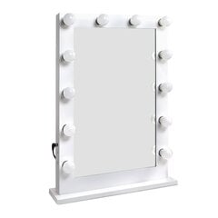 Peegel LED valgustus, 12 tk цена и информация | Монтируемые светильники, светодиодные панели | kaup24.ee