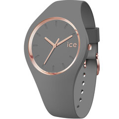 Часы Ice Watch 015336 цена и информация | Женские часы | kaup24.ee