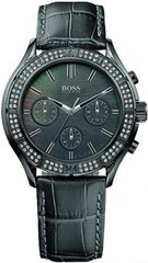 Часы Hugo Boss 1502342 цена и информация | Женские часы | kaup24.ee
