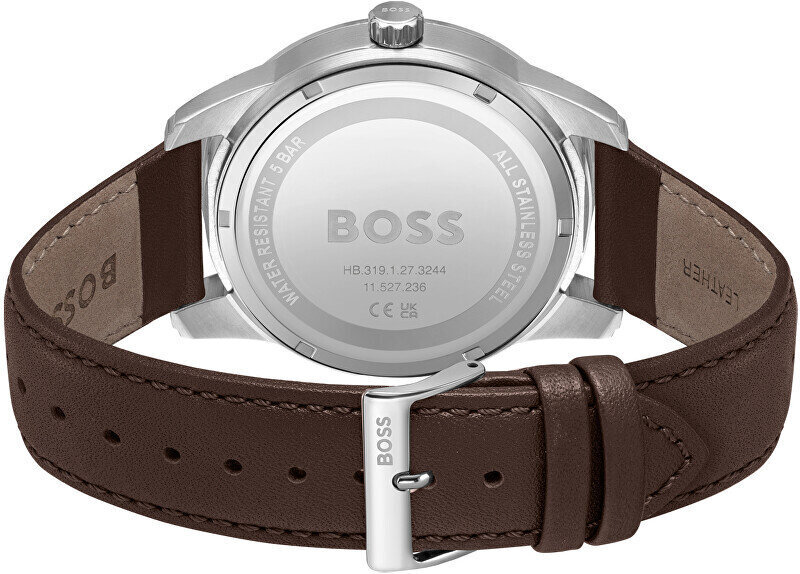 Naiste käekell Hugo Boss 1513944 цена и информация | Naiste käekellad | kaup24.ee