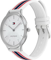 Käekell naistele Tommy Hilfiger Samanta 1782498 hind ja info | Naiste käekellad | kaup24.ee