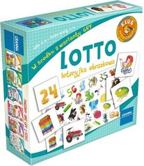 Lauamäng Lotto Granna цена и информация | Настольные игры, головоломки | kaup24.ee