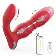 Naiste vibraator - masseerija, puldiga Dark Red Brand hind ja info | Anaallelud | kaup24.ee