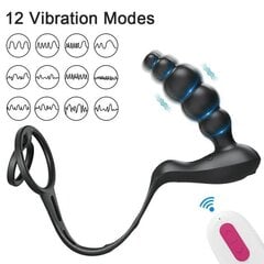 Vibraatoriga masseerija puldiga Dark Red Brand hind ja info | Anaallelud | kaup24.ee