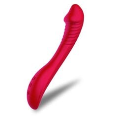 Naiste vibraator - masseerija Dark Red Brand hind ja info | Dildod | kaup24.ee