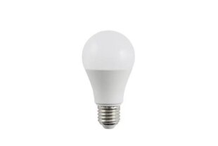 LED Smart lamp цена и информация | Лампочки | kaup24.ee