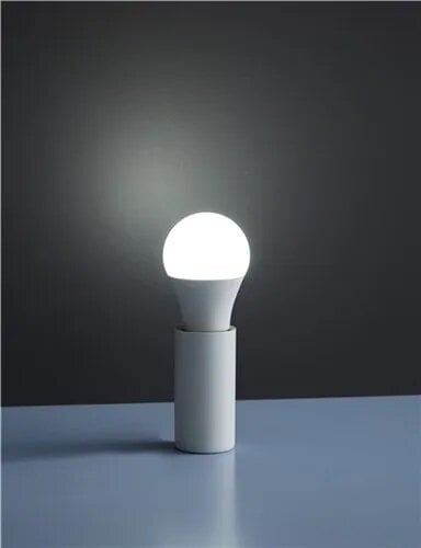 LED Smart lamp hind ja info | Lambipirnid, lambid | kaup24.ee