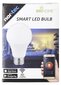 LED Smart lamp hind ja info | Lambipirnid, lambid | kaup24.ee