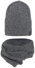 Комплект Need 4You шапка и шарф, серый цена и информация | Мужские шарфы, шапки, перчатки | kaup24.ee