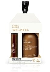 Kosmeetiline komplekt Baylis & Harding Wellness Energising Duo: dušigeel, 100 ml + kehaõli, 12 ml hind ja info | Dušigeelid, õlid | kaup24.ee