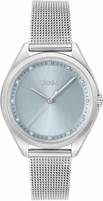 Käekell naistele Hugo Boss 1502667 цена и информация | Naiste käekellad | kaup24.ee