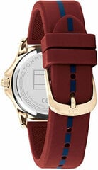 Käekell naistele Tommy Hilfiger 1782510 цена и информация | Женские часы | kaup24.ee