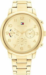 Käekell naistele Tommy Hilfiger 1782525 цена и информация | Женские часы | kaup24.ee