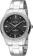 Esprit Скайлер XL ES1L353M0075 цена и информация | Женские часы | kaup24.ee