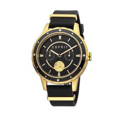 Женские часы Esprit ES1L140P0035 цена и информация | Женские часы | kaup24.ee