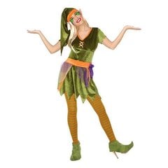 Маскарадный костюм для взрослых Гоблин, зеленый цена и информация | Карнавальные костюмы | kaup24.ee