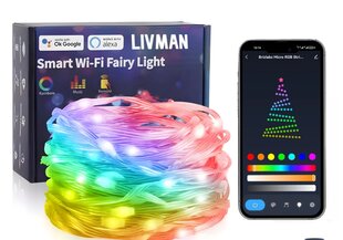 LED nutikad bluetooth jõulutuled rakendusega LIVMAN FTT-P100V05U, 10M hind ja info | Jõulutuled | kaup24.ee