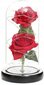 Uinuv roos kuplis, punane LED, WR6 цена и информация | Uinuvad roosid, taimed | kaup24.ee