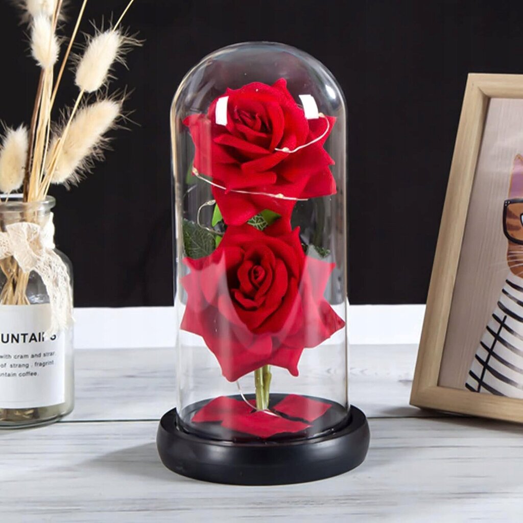 Uinuv roos kuplis, punane LED, WR6 цена и информация | Uinuvad roosid, taimed | kaup24.ee