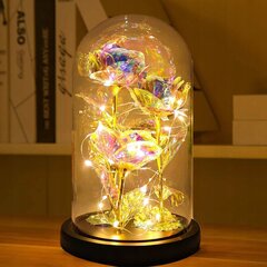 Uinuv roos kuplis, kristall LED, WR8 цена и информация | Спящие стабилизированные розы, растения | kaup24.ee