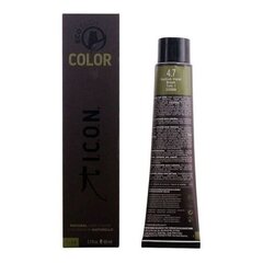 Püsivärv Ecotech Color I.c.o.n. 60 ml hind ja info | Juuksevärvid | kaup24.ee