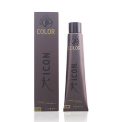 Перманентная краска I.c.o.n. 5.4 Light Copper Brown цена и информация | Краска для волос | kaup24.ee
