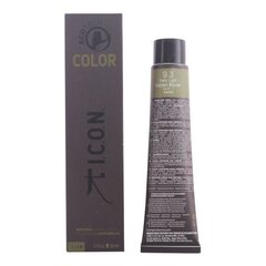 Постоянная краска Ecotech Color Natural Color I.c.o.n. 9.3 very light golden blonde (60 ml) цена и информация | Краска для волос | kaup24.ee