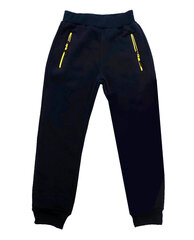 Утепленные штаны для мальчиков цена и информация | Шорты для мальчиков | kaup24.ee