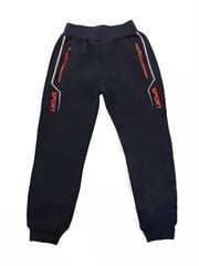 Утепленные штаны для мальчиков цена и информация | Штаны для мальчика Nini | kaup24.ee
