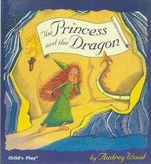 Princess and the Dragon illustrated edition цена и информация | Книги для подростков и молодежи | kaup24.ee