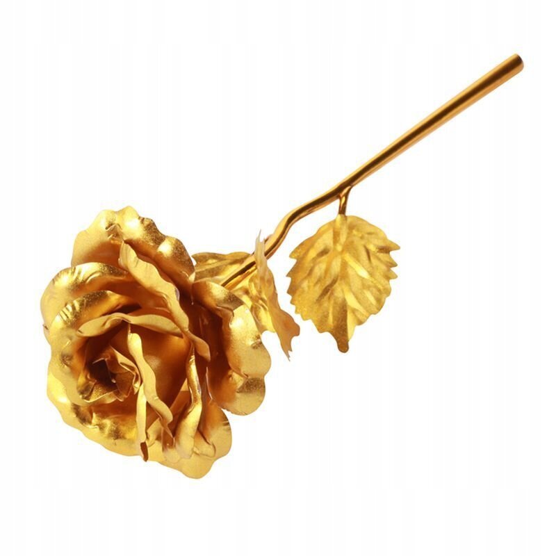 Uinuv roos, kuld, kiri Love, WR9 цена и информация | Uinuvad roosid, taimed | kaup24.ee