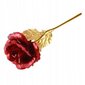 Uinuv roos, punane, kiri Love, WR10 цена и информация | Uinuvad roosid, taimed | kaup24.ee