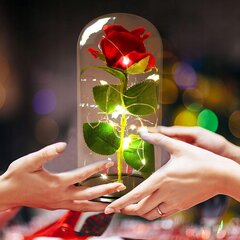 Uinuv roos kuplis, LED, WR7 цена и информация | Спящие стабилизированные розы, растения | kaup24.ee
