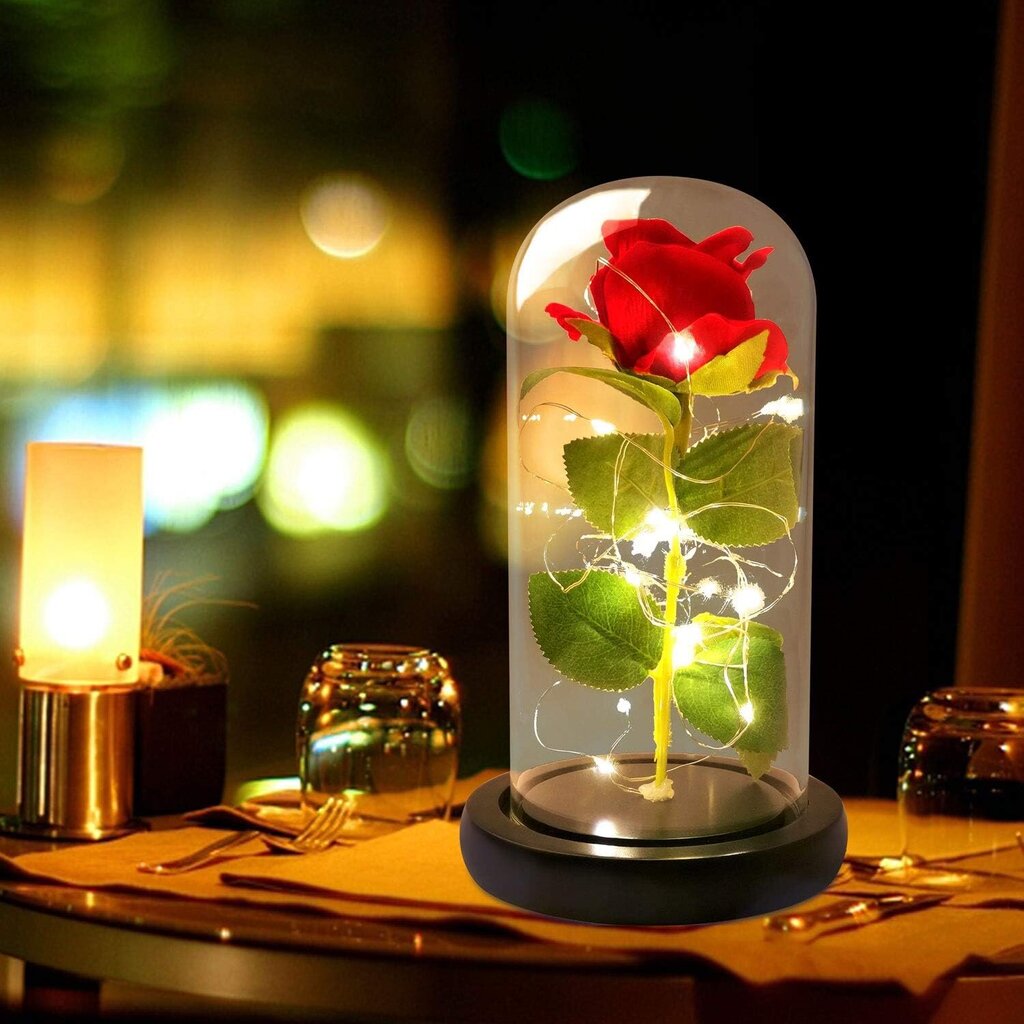 Uinuv roos kuplis, LED, WR7 hind ja info | Uinuvad roosid, taimed | kaup24.ee