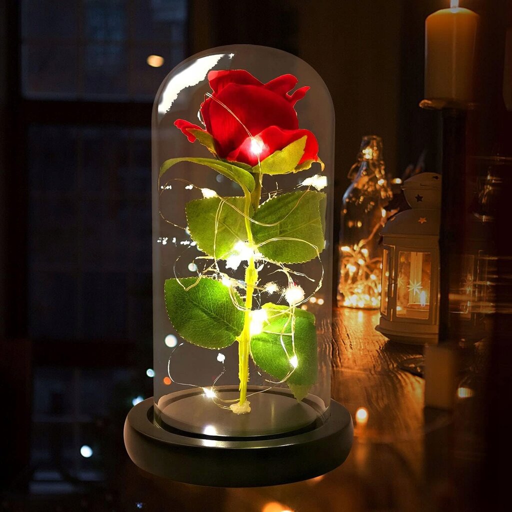 Uinuv roos kuplis, LED, WR7 hind ja info | Uinuvad roosid, taimed | kaup24.ee