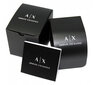 Käekell naistele Armani Exchange AX1721 цена и информация | Naiste käekellad | kaup24.ee