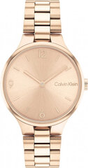 Käekell naistele Ck Calvin Klein 1681241 цена и информация | Женские часы | kaup24.ee